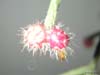 DSCN1365