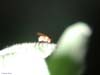 DSCN1368
